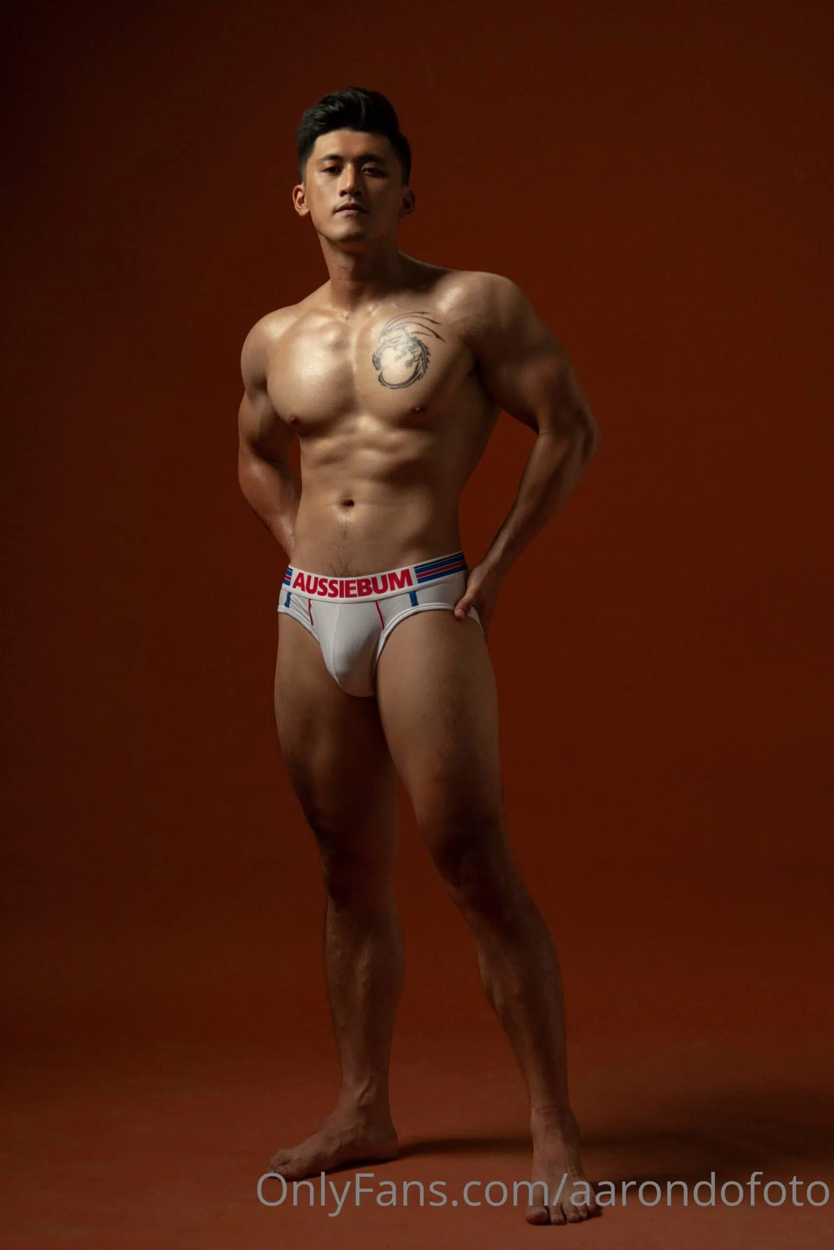 AARONDOFOTO ONLYFANS COLLECTION P21 LONG TRAN HENRY TRIEU