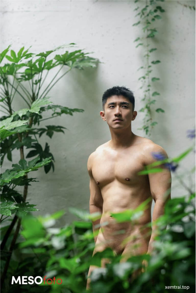 MESOfotoBOOK 07 (photo+video)