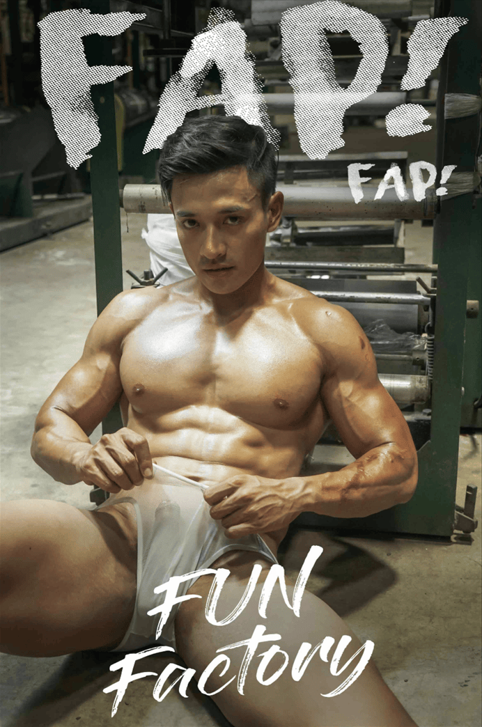 FAP! FAP! No.2 [Ebook+Video]